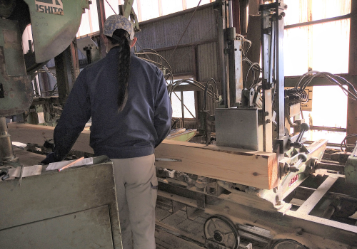 国産地松(アカマツ)について